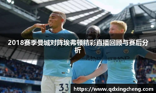 2018赛季曼城对阵埃弗顿精彩直播回顾与赛后分析
